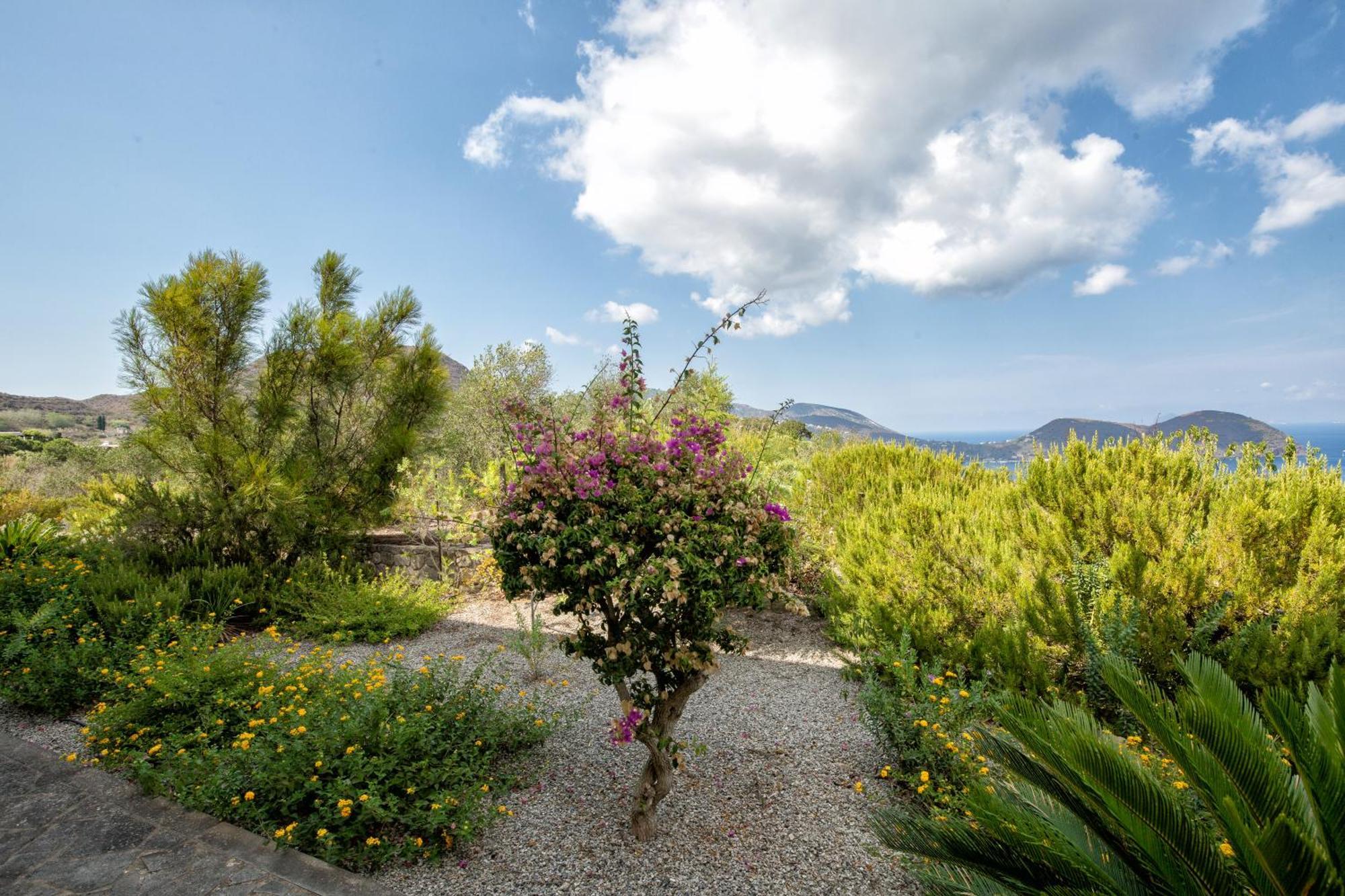 Sealight Villa Lipari - Vista E Piscina Lipari (Isola Lipari) Exterior foto