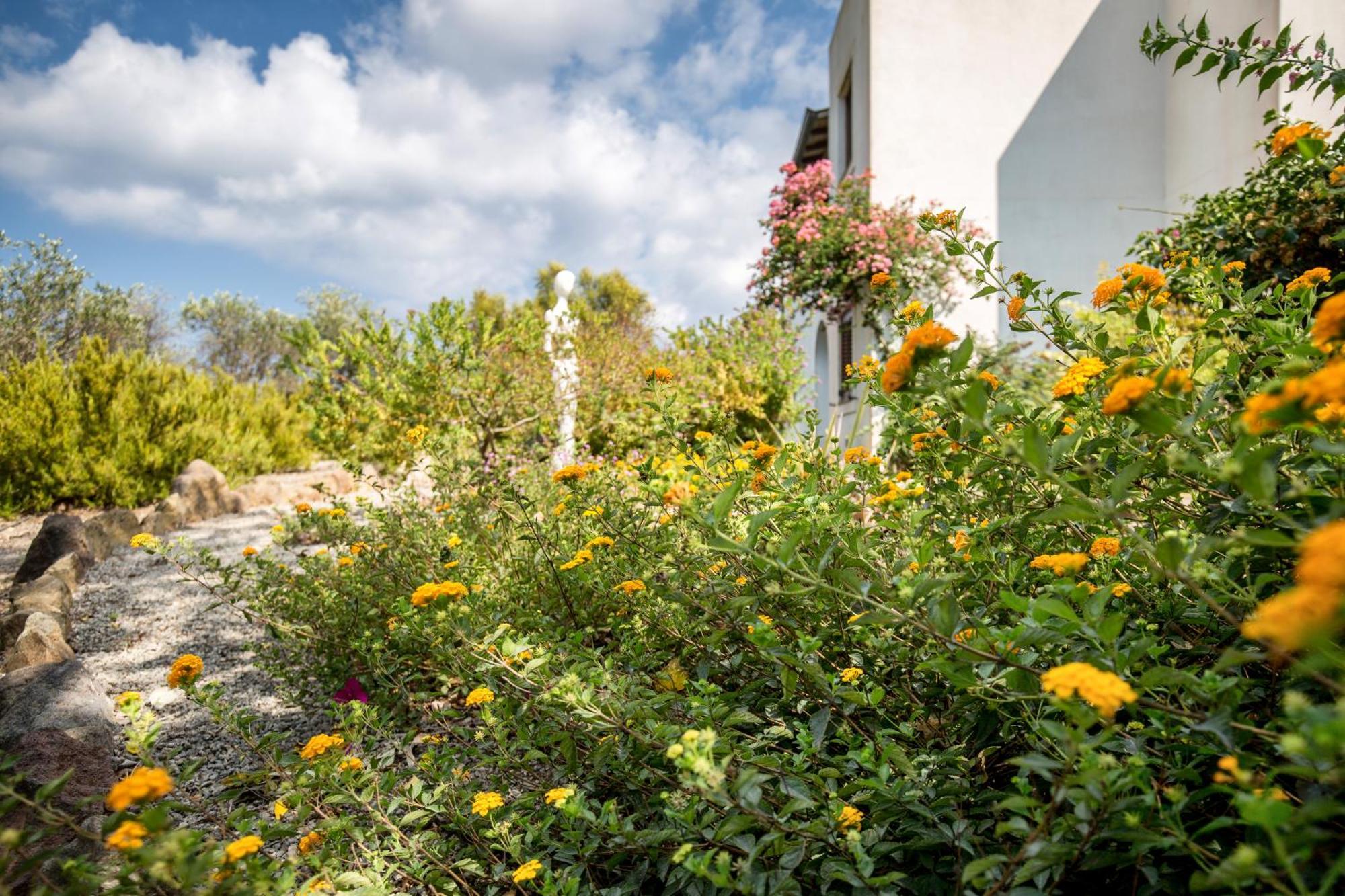 Sealight Villa Lipari - Vista E Piscina Lipari (Isola Lipari) Exterior foto